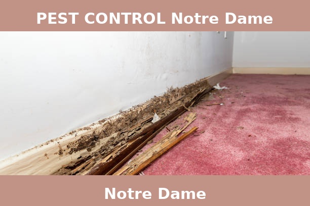 PEST CONTROL Notre Dame